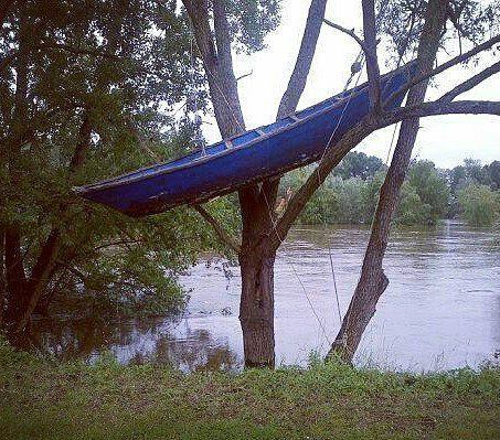 13494878_531136320406793_4591285529648515773_n