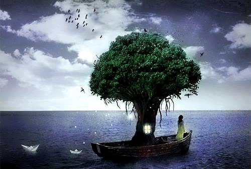 13782163_583620821810398_249083891170894532_n