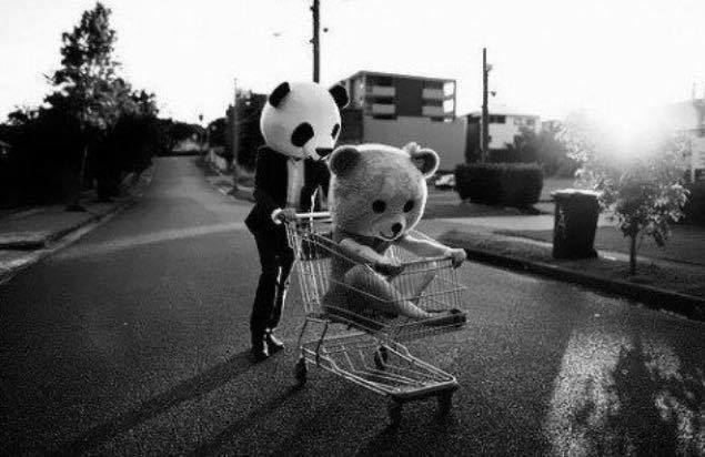 13872886_549301598590265_8716010572139837147_n