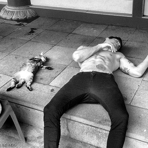 14470553_569701016550323_5211959350153175965_n