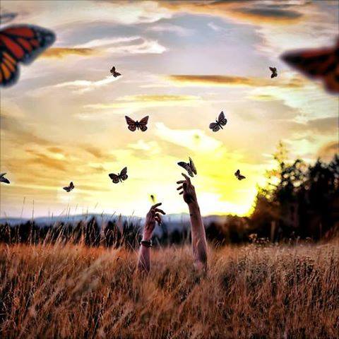 17021821_641057309414693_1677025599699405517_n