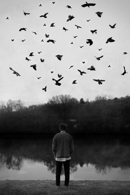 21462949_10155632713719787_4266012928010771420_n