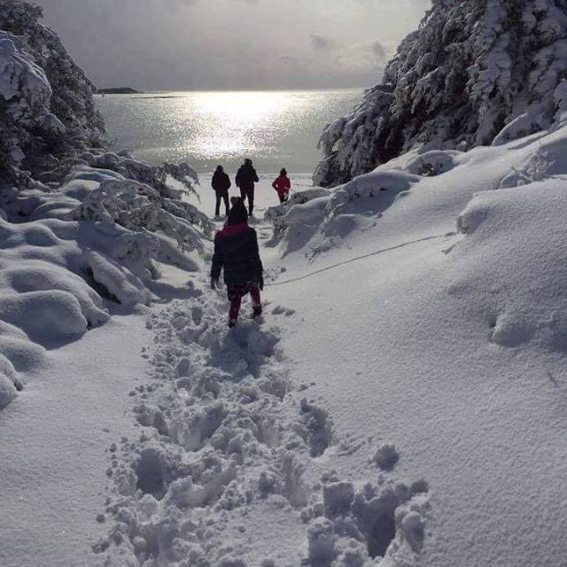 23659411_10155815408499787_4472877611574536497_n