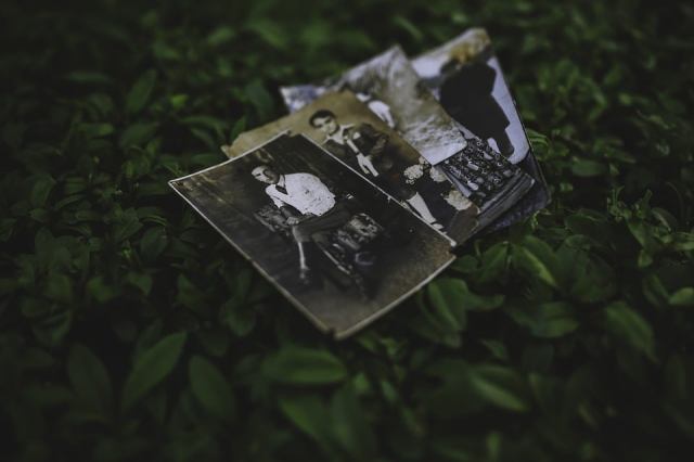 81565866_10159337688481110_8562635835701198848_n