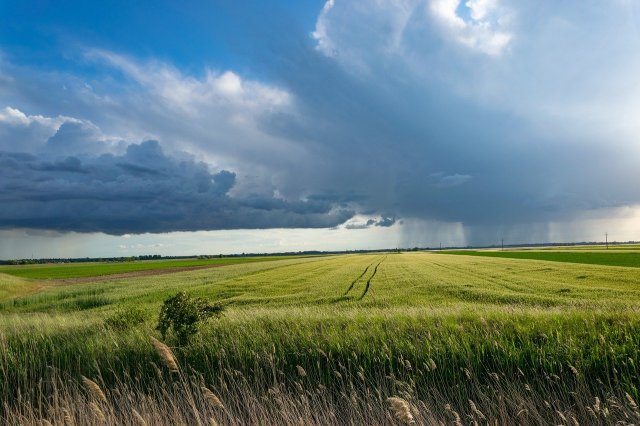 Stormcornfieldclouds